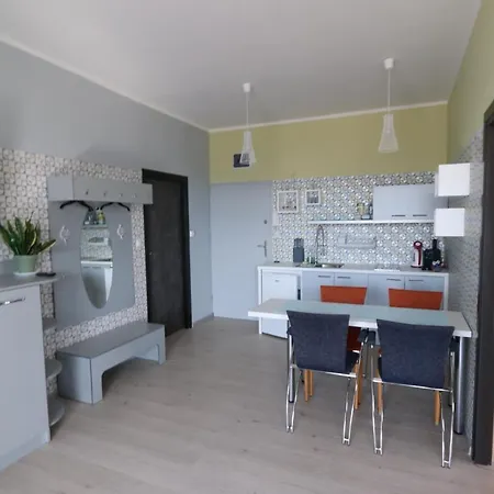 Tatra Horizon - 5 Minut Od Term Chocholowskich I Stoku Narciarskiego W Oravicach Apartamento *